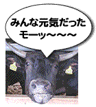 farm_kengaku_ushi
