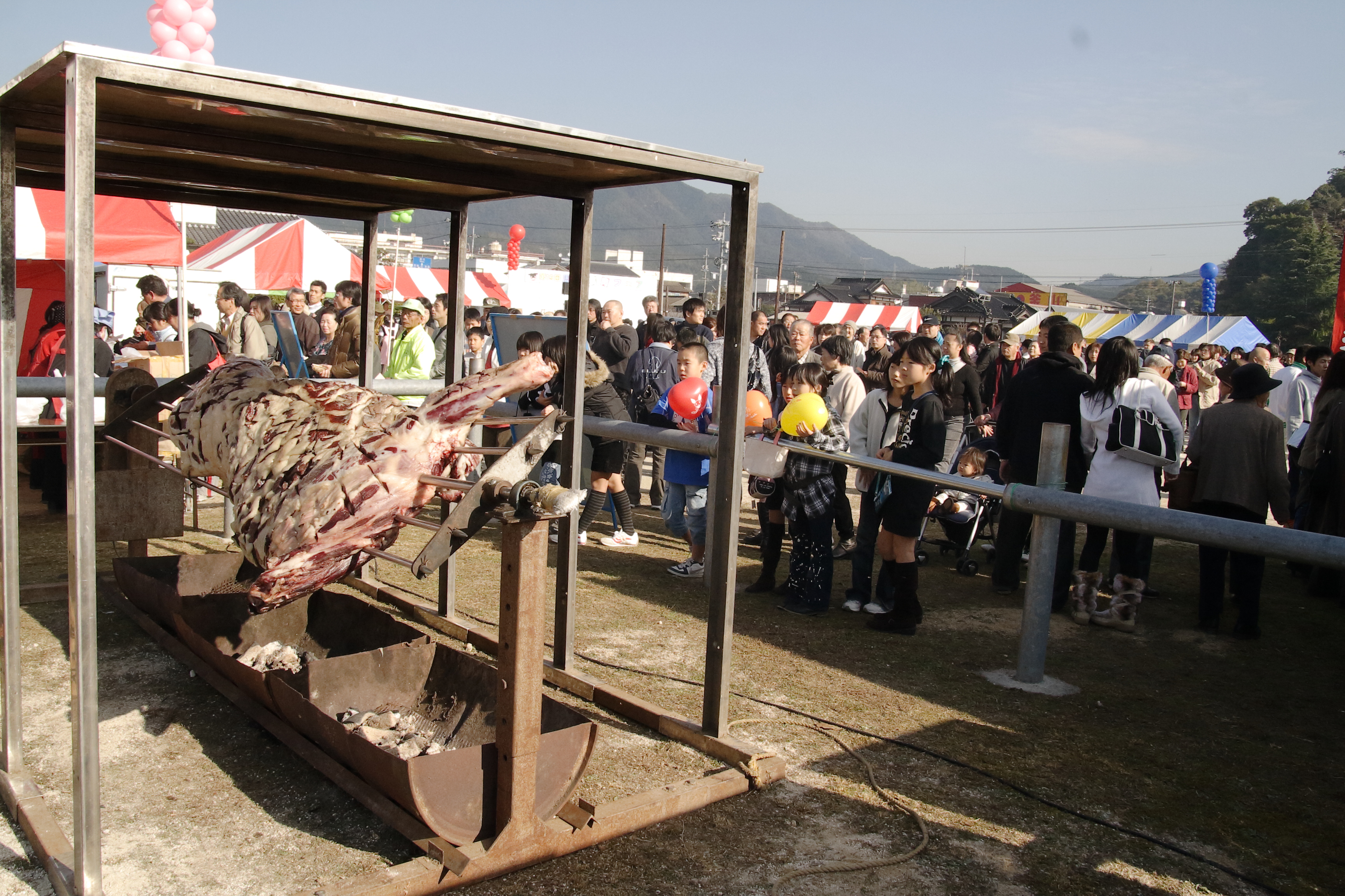 安堂グループの歴史物語第16話　第2回から登場した牛の丸焼き（写真は2006年）