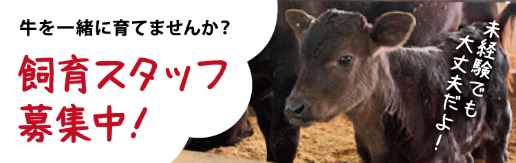 牛を一緒に育てませんか？飼育スタッフ募集中！