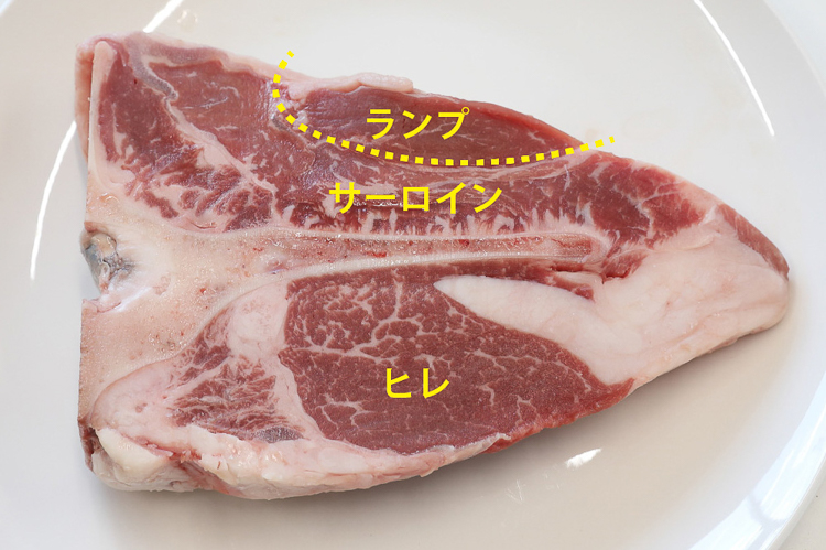 Tボーンステーキの生肉作図(ランプ・サーロイン・ヒレ)
